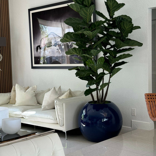 Most Popular Blue Globe Planter with Fiddle Tree